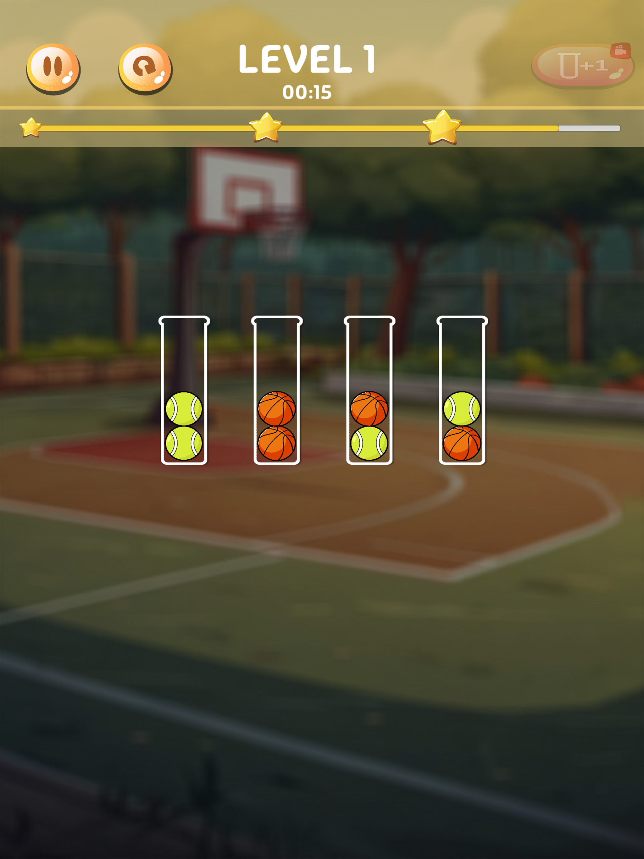 Sport Color Sort Puzzle