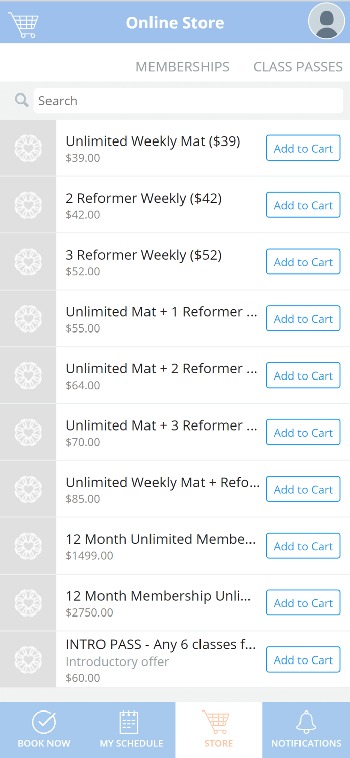 Morning Light Studio