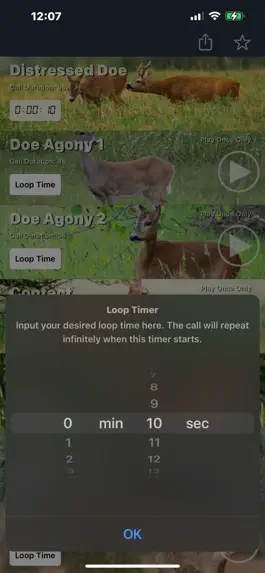 Game screenshot Roebuck Calls for Roe Deer apk