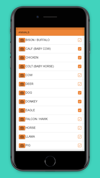 The Find It Game Screenshot