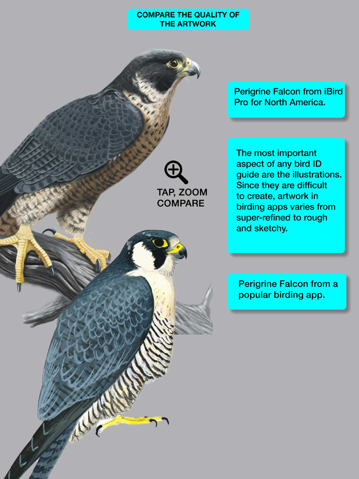 iBird Pro Guide to Birds