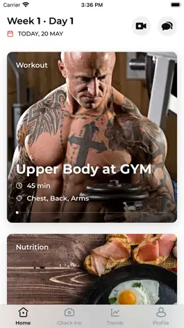 Game screenshot Taylor Made Physiques apk