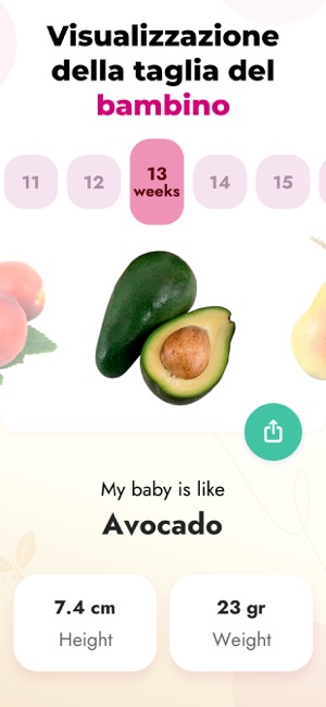Baby Size: Cicli di gravidanza su App Store