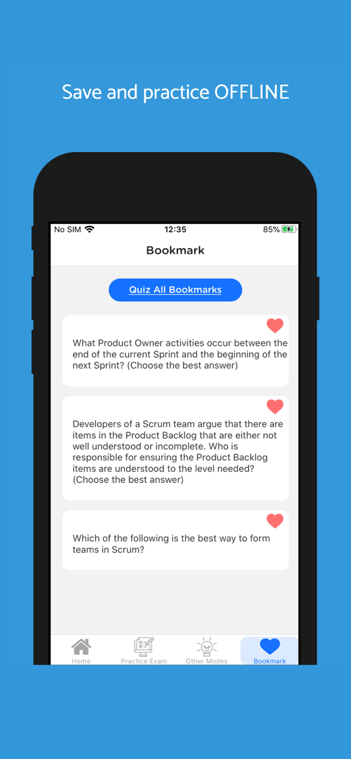 Professional Scrum Master II