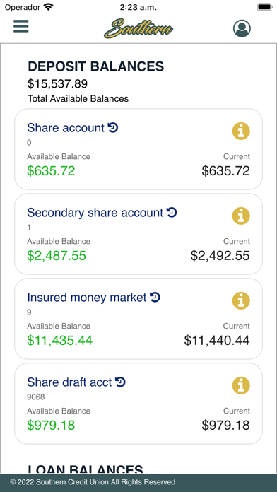 Southern Credit Union Screenshot