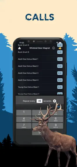 Game screenshot Whitetail Magnet - Deer Sounds hack