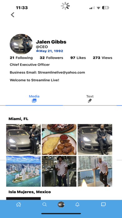 Streamline Live Screenshot