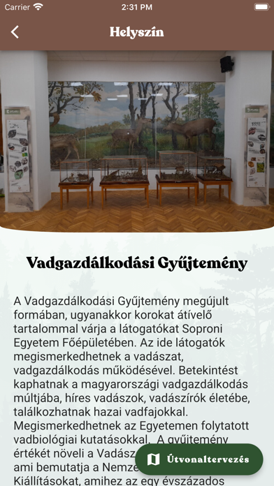 Cserkelj velünk! Screenshot