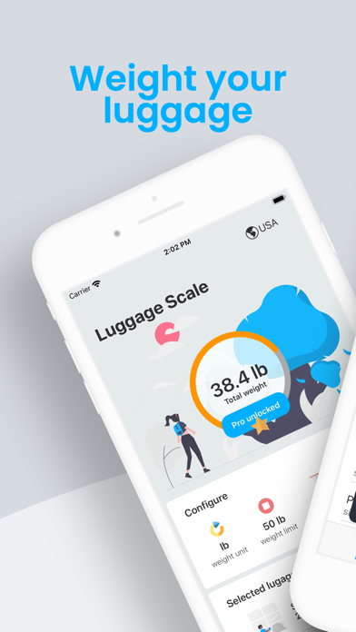 Luggage Scale Screenshot