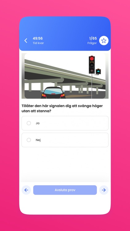 Ta Körkort - 2022 screenshot-3