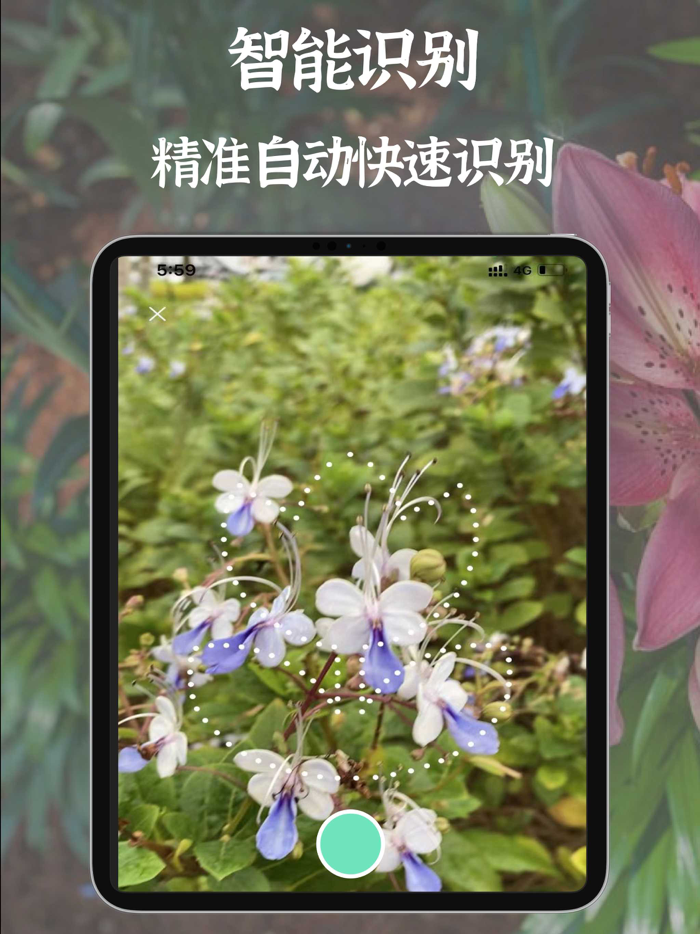 拍照识别植物-精准识花草虫鸟树木