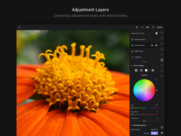PixelSense for iPa‪d
