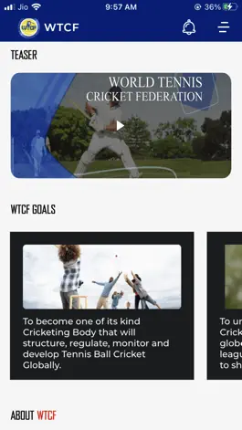 Game screenshot WTCF CRICKET apk
