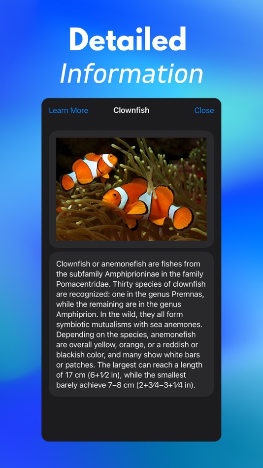 #5. Fish Identifier: ID Scanner (iOS) 由: Arda Sen