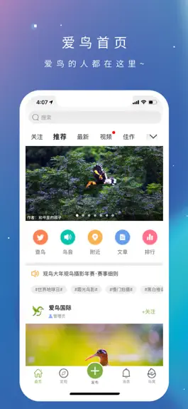 Game screenshot 爱鸟国际 mod apk