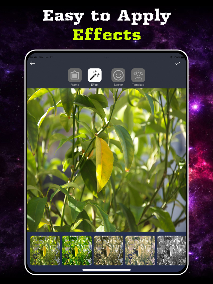 Cartoon Photo Editor Maker