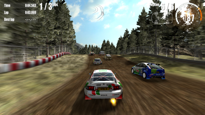 Screenshot from Rush Rally 3