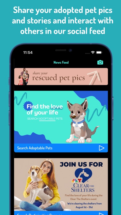 WeRescue – Adopt a Pet screenshot-3