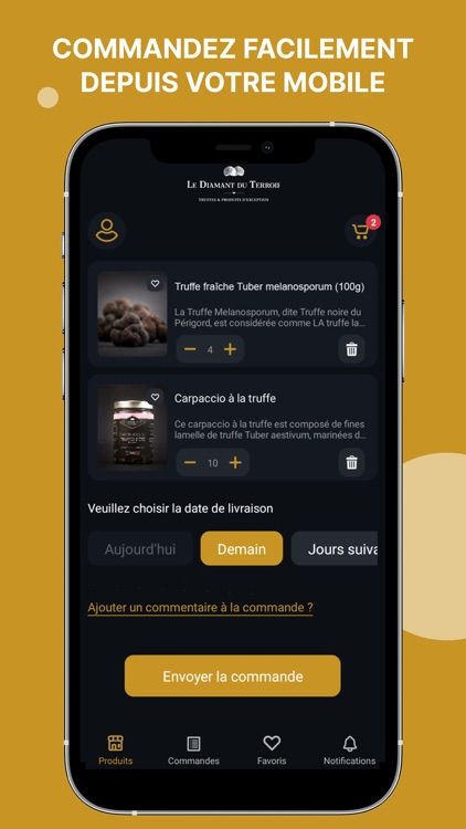 Le Diamant Du Terroir screenshot-3