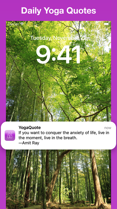 Screenshot #1 pour Daily Yoga Quotes  - YogaQuote