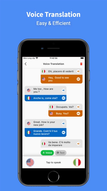 Italian - English : Translator