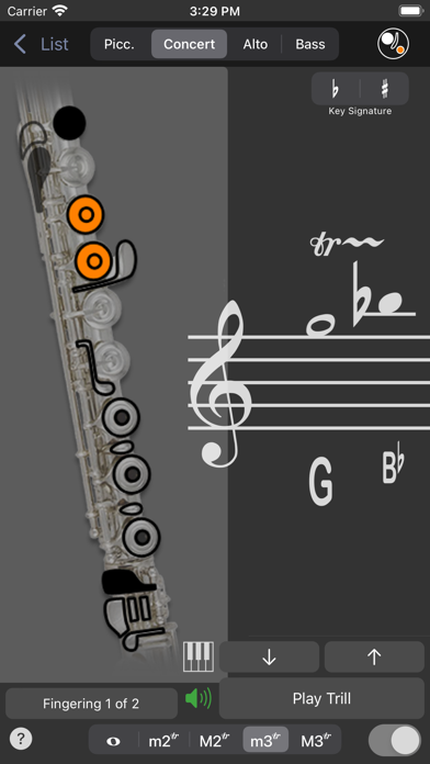 Fingering Woodwinds for iPhone Screenshot