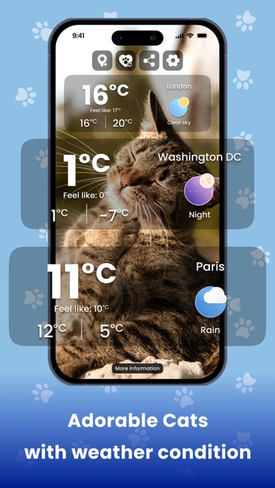 Weather Kitty - Cute Cat radar Screenshot