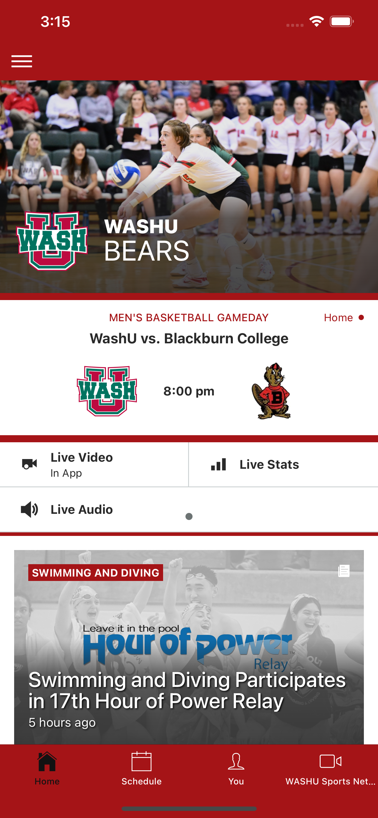 WashU Bears