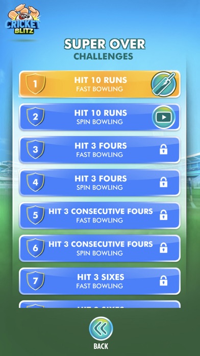WCC Cricket Blitz Screenshot
