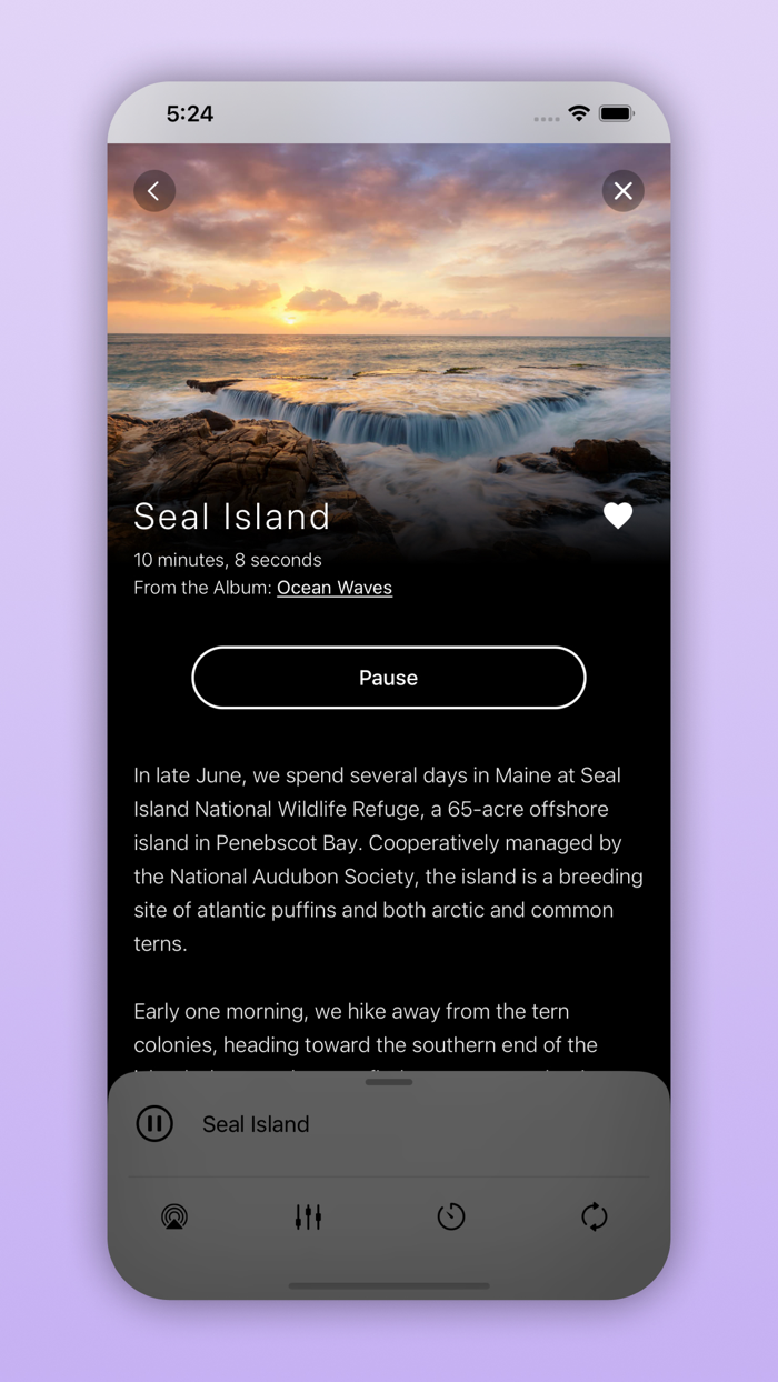 Pure Nature - 3D Soundscapes