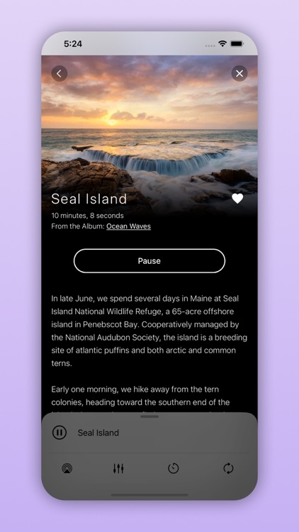 Pure Nature - 3D Soundscapes screenshot-8
