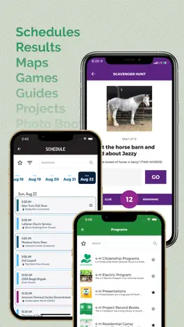 Game screenshot 4-H Now apk