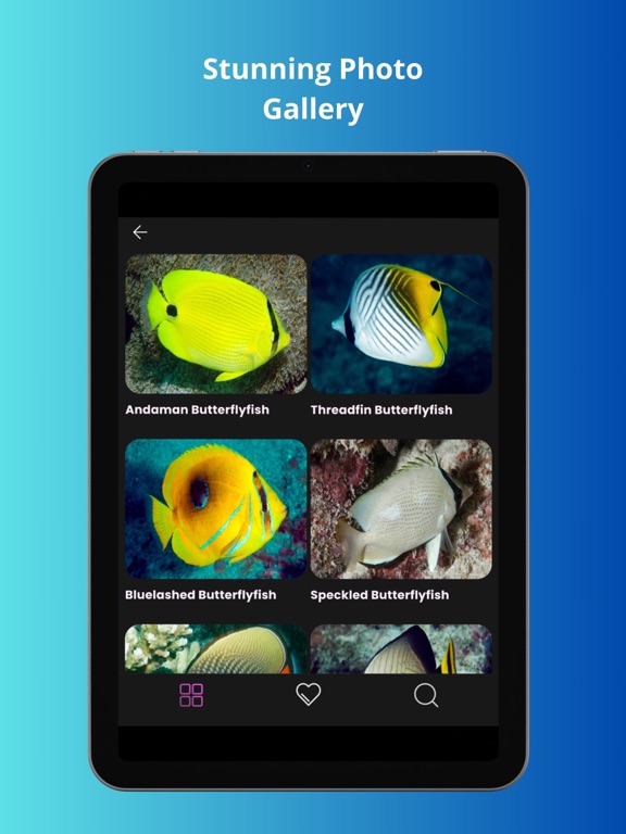 Screenshot #6 pour Maldivian Fish Guide