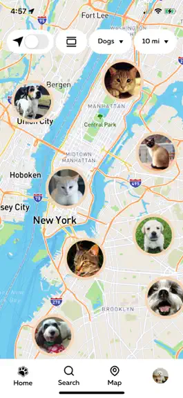 Game screenshot petdater apk