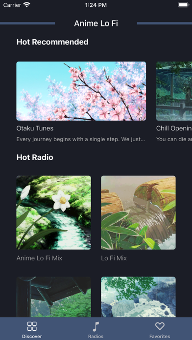 Anime Lo Fi Music Screenshot