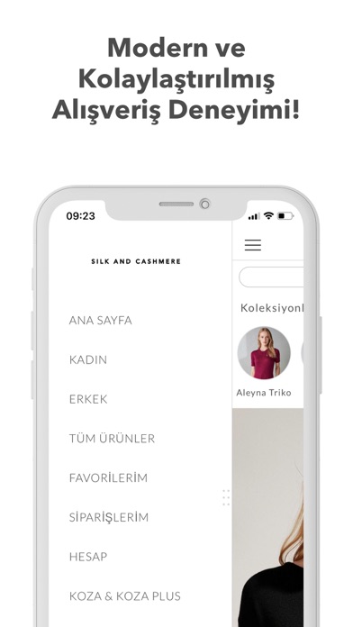 Silk and Cashmere Screenshot