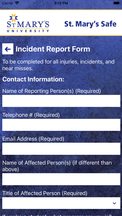 St. Mary's Safe Screenshot