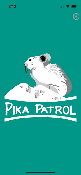 Game screenshot Pika Patrol mod apk