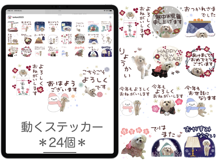 トイプードルるんるん＊年末年始