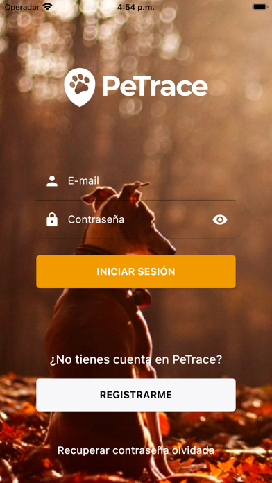 PeTrace Screenshot