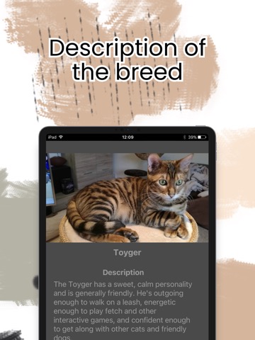 Cat Breeds - Cat Encyclopediaのおすすめ画像2