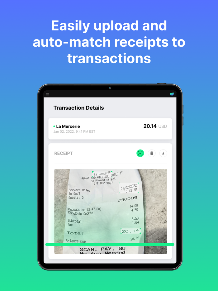 Mesh Payments