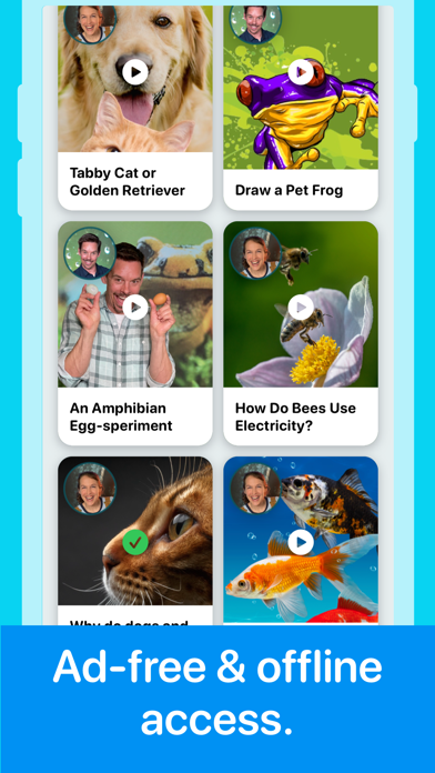 Veterinary & Pets for Kids Screenshot