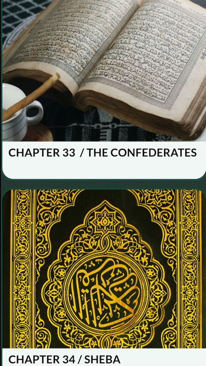 Quran in English Offline Pro screenshot-8