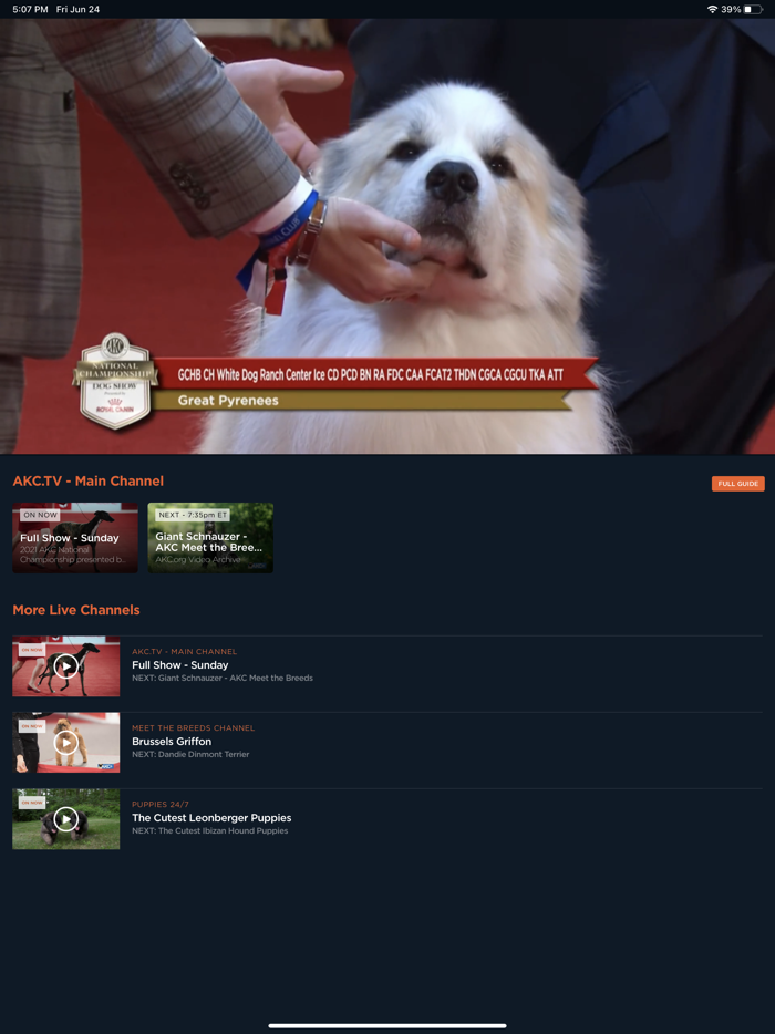 AKC.TV