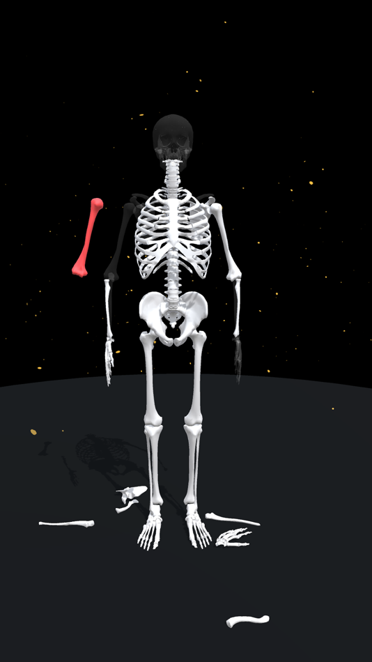 #6. Assemble Skeleton (iOS) 由: Artur Zhyvkovych