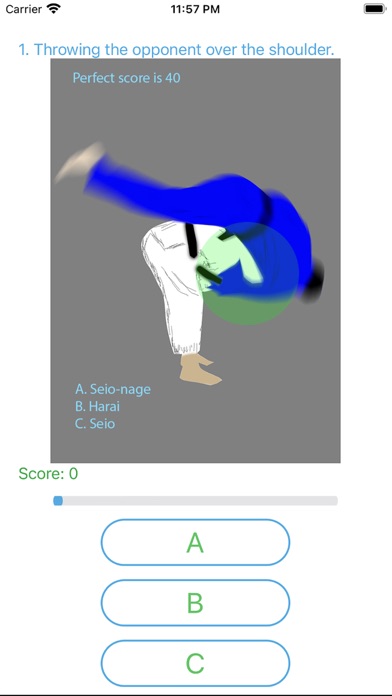 BJJ Quiz Screenshot