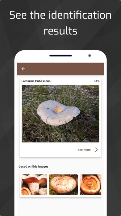 Mushrooms - AI Identifier Screenshot