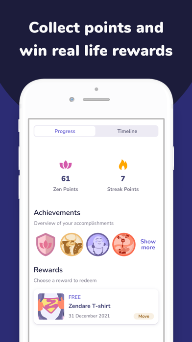Zendare Screenshot