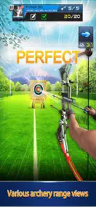 Archery Bow Tournament screenshot #1 for iPhone